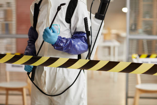 Professional Sewage Cleanup technician working in Amador City, CA